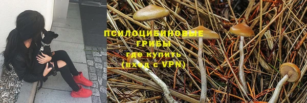 ALPHA PVP Балахна