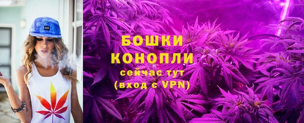 твердый Касимов
