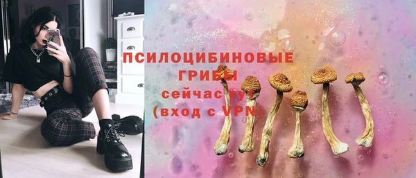 spice Карталы